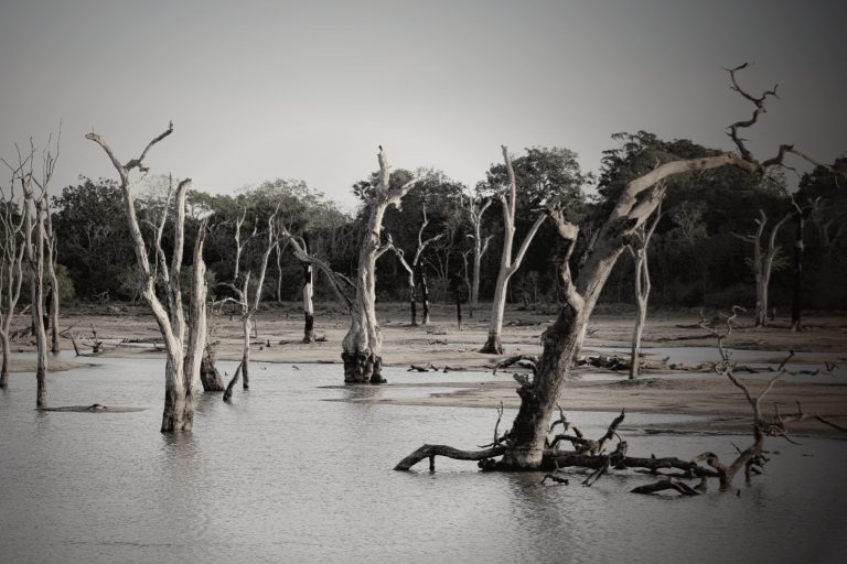 Flood Insurance in Missouri